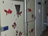 de nombreux réfrigérateurs sur lesquels sont collés des autocollants représentant des poissons, dans une pièce