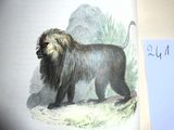 un livre avec l'image d'un lion sur la couverture