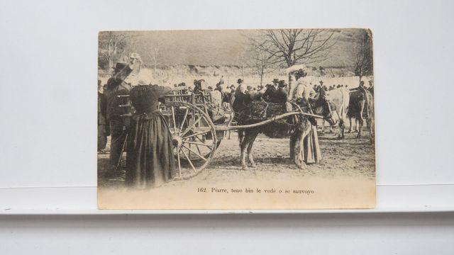 Aubusson : Piarre, teno bin le vedé, o se sauvoyo (Attelage ; foi...
