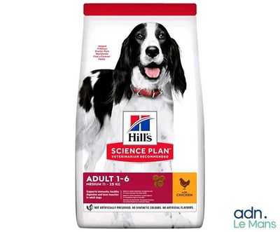 hill ' s science plan adult large breed adult dry dog food