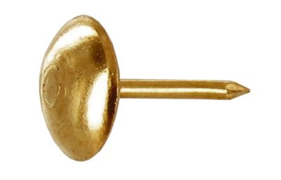 une image représentant un gros plan d'un bouton doré sur fond blanc