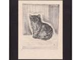 a black and white drawing of a cat sitting on a window sill