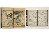 an open book with drawings of animals and plants on it