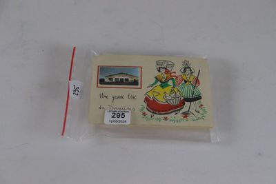 1 pochette cartes humoristiques avec photos 49 cartes