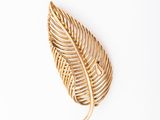 gold leaf brooch on a white background