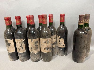 plusieurs bouteilles de vin sont alignées sur une surface blanche