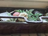 a large metal tub filled with plants in a room