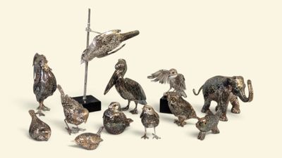 beaucoup d'oiseaux rassemblés en groupe