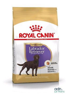 Royal Canin Labrador Retriever Adult – Croquettes pour chiens adultes