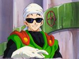 une photo d'un homme portant des lunettes de soleil et une tenue verte et rouge