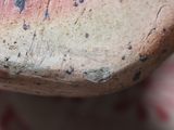 a close up of a piece of pottery on a table
