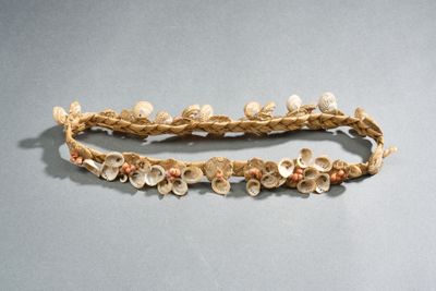 un gros plan d'un bracelet orné de coquillages