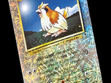 une carte Pokémon sur laquelle figure l'image d'un poulet