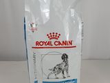 Aliments hypoallergéniques pour chiens Royal Canin