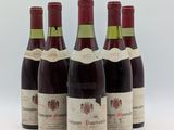 six bouteilles de vin sont alignées sur une surface blanche