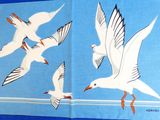 beaucoup de mouettes qui volent dans le ciel