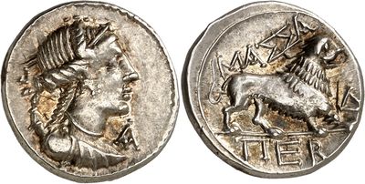 a silver coin with an image of a man and a horse on it