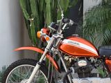 an orange motorcycle parked in front of a cactus plant