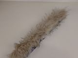 a feather that is laying on a table