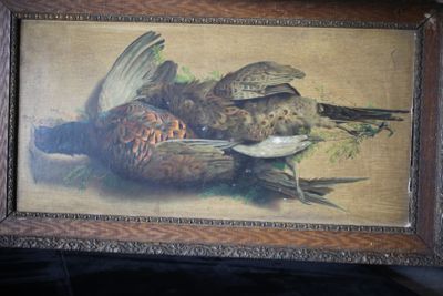 une photo d'un tableau représentant un oiseau et un faisan