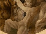 two dogs that are looking at each other in the same picture