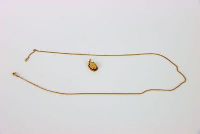 une photo d'un collier en or orné d'un minuscule scarabée