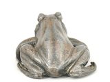 an image of a frog sitting on a white surface