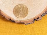 a small coin sitting on top of a piece of wood