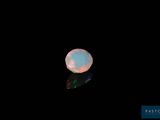 an oplite in the dark with a black background