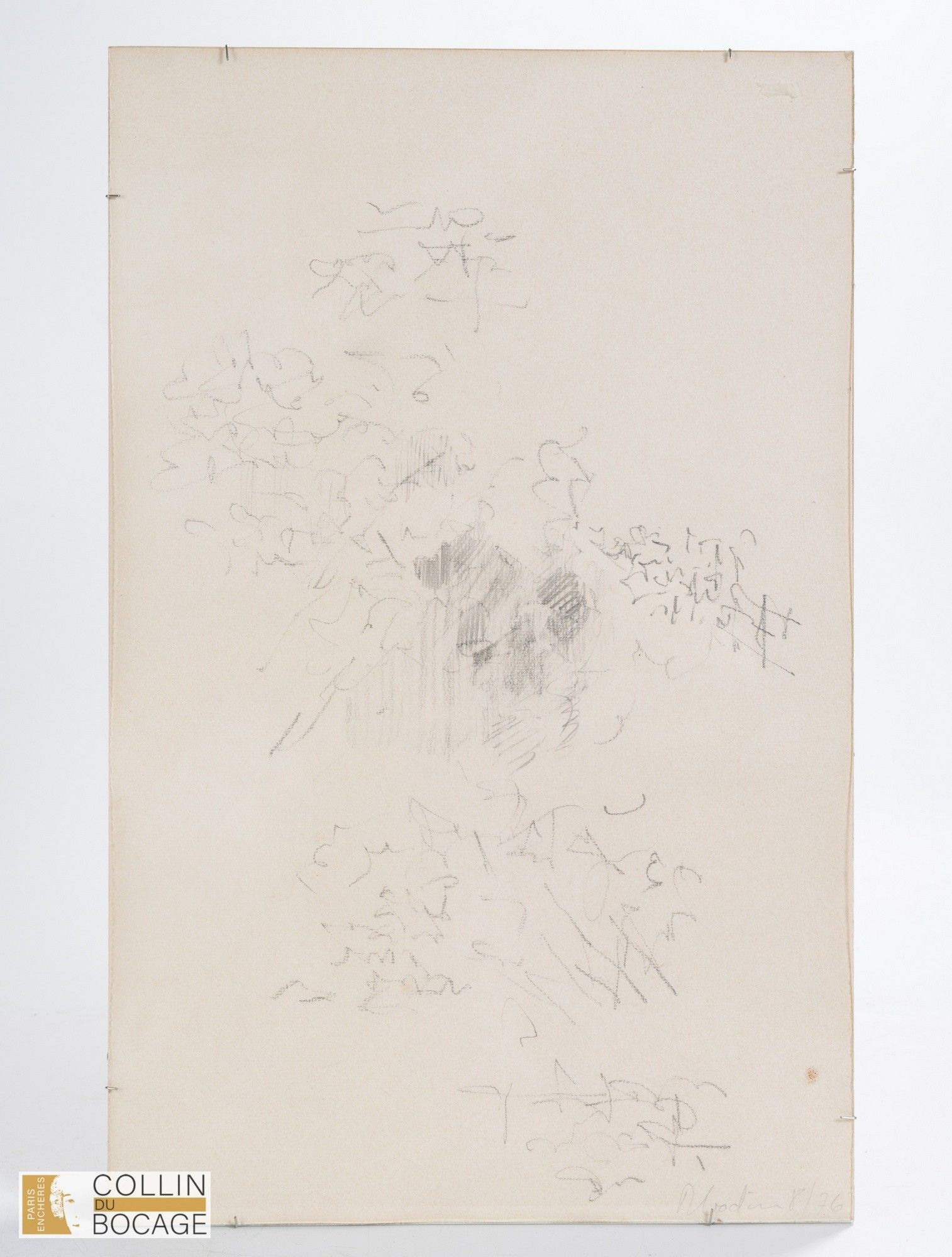 Objets d'art & Curiosités