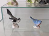 a glass display case with three small birds on it