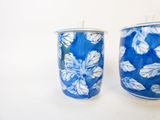 deux vases bleus et blancs ornés de fleurs blanches
