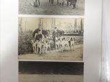 pictures of people and animals in the water and on the beach