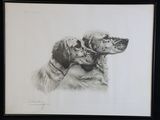 dessin représentant deux chiens dans un cadre noir sur fond blanc