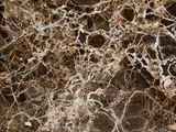 a close up of a marble surface with brown and white veining