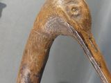 a close up of a walking stick with a bird on it ' s head