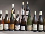 les nombreuses bouteilles de vin alignées sur la table