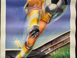 a poster of a soccer player kicking a soccer ball