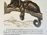 une photo d'un livre sur laquelle figure un chat allongé sur une branche d'arbre