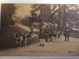 an old photo of a group of people with dogs in a park