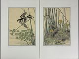 an image of two pictures of birds flying over a body of water