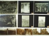 de nombreuses photos de personnes et d'animaux exposées dans une pièce