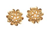 une paire de boucles d'oreilles en or ornées de perles sur fond blanc