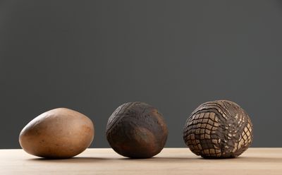 Sylvie ENJALBERT (XXème siècle).