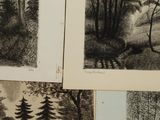 several black and white drawings of trees in a forest