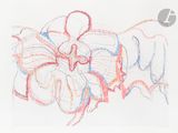 a drawing of a butterfly on a piece of paper
