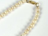 pearl necklace with a gold clasp on a white background