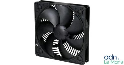 a close up of a fan on a white background