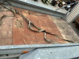 a picture of a truck with a broken seat belt on it