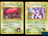 deux cartes Pokémon présentant des motifs différents sur un fond noir